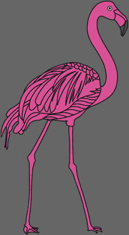flamingo