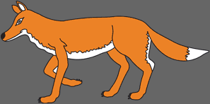 fox