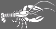 lobster